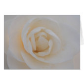 Camilla Bliss (Front Horizontal)