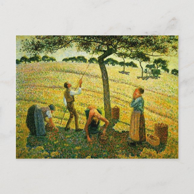 Camille Pissarro- Apple Picking at Eragny-sur-Epte Postcard (Front)