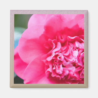Camillia Artistic Pink Flower Magnet