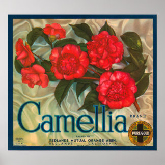 Camillia Brand Oranges Classic Fruit Crate Label Poster