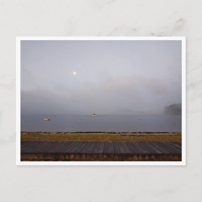 Camino de Santiago Portugues (Spain) Postcard (Front)