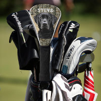 Camo Black Lab Dog Breed Animal Name