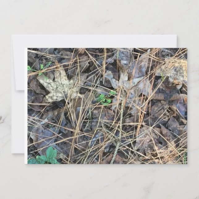 Camo Blank Invitations, Camouflage Invitation (Front)