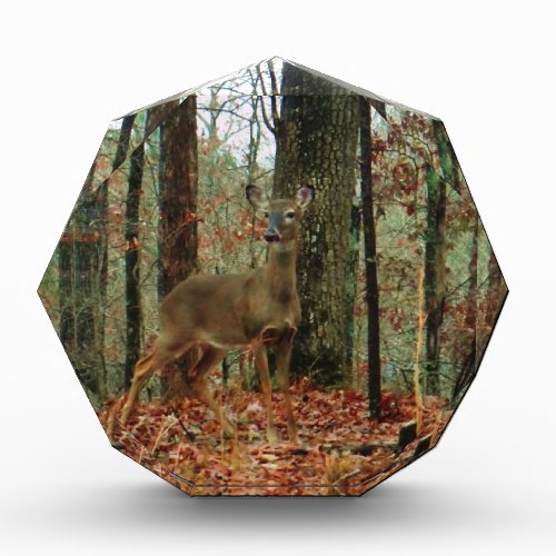 CamoCamouflage Deer Acrylic Award