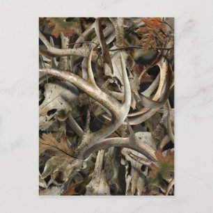Camo Deer Skulls Postcard