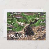 Camo Moose Hunting Theme Wedding Invitations (Back)