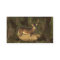 Camoflage Grunge Big Buck- No Text Biz Card