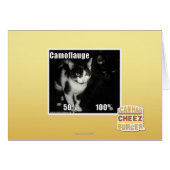 Camouflage (Front Horizontal)