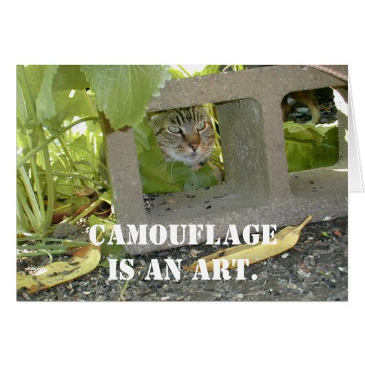 Camouflage Cat Cards (Front Horizontal)