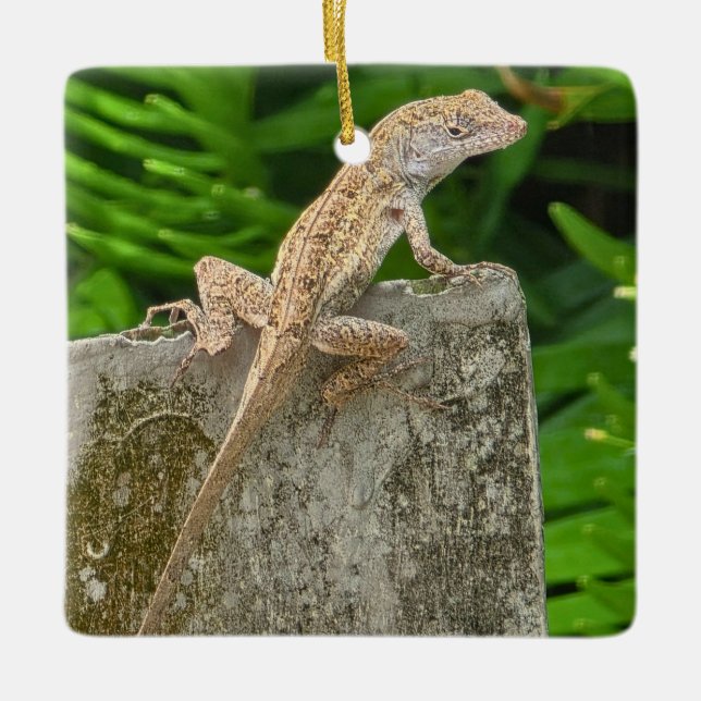 Camouflage Master Ceramic Ornament (Front)