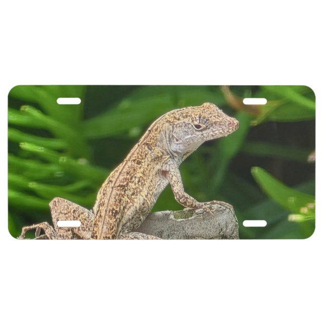 Camouflage Master License Plate (Front)