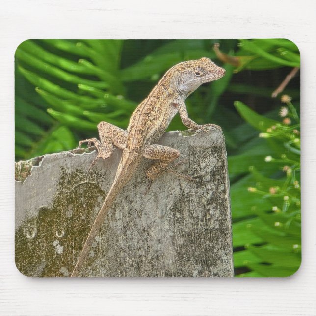 Camouflage Master Mouse Pad (Front)