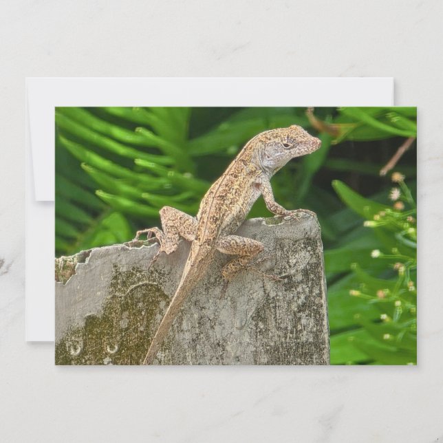 Camouflage Master Note Card (Front)