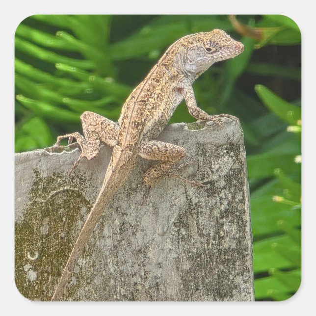 Camouflage Master Square Sticker (Front)