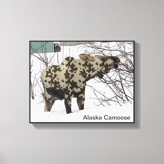 Camouflage Moose (Camoose) Canvas Print (Front)