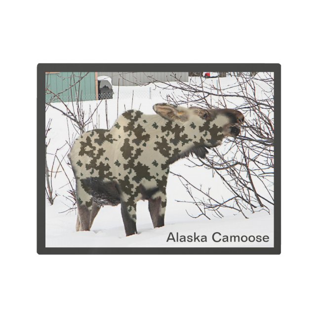 Camouflage Moose (Camoose) Metal Print (Front)