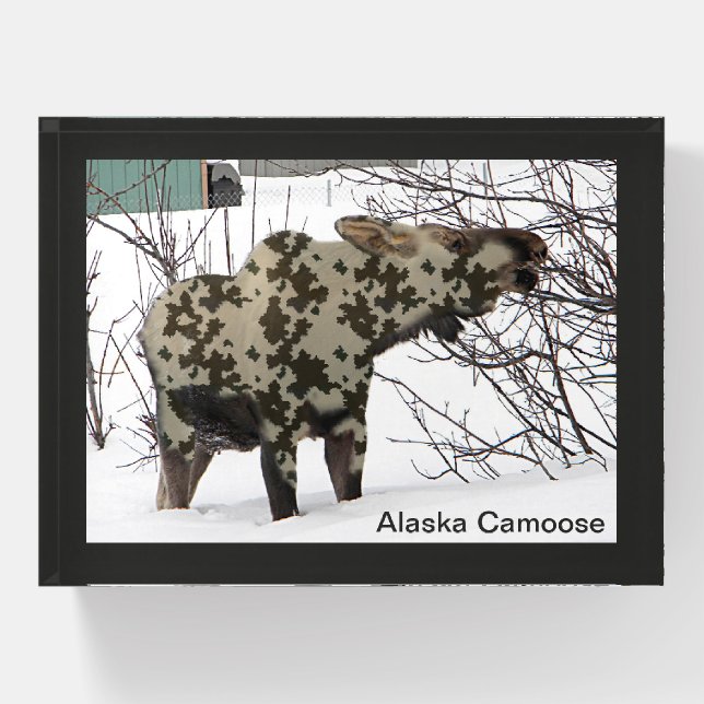 Camouflage Moose (Camoose) Paperweight (Front)