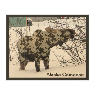 Camouflage Moose (Camoose) Wood Wall Art