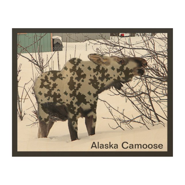 Camouflage Moose (Camoose) Wood Wall Art (Front)