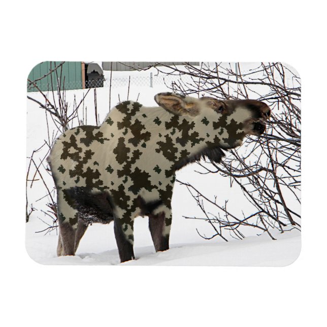 Camouflage Moose Magnet (Horizontal)