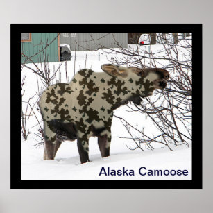 Camouflage Moose Poster
