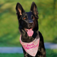 Camouflage Pastel Pink Abstract Pet Name