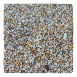 Camouflaged Ghost Crab on a Kauai Beach, Hawaii Trivet