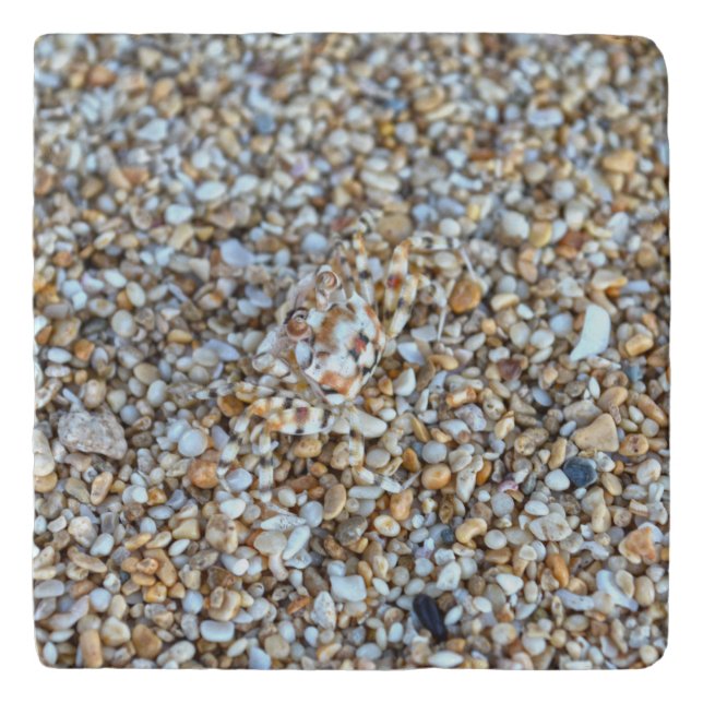 Camouflaged Ghost Crab on a Kauai Beach, Hawaii Trivet (Front)