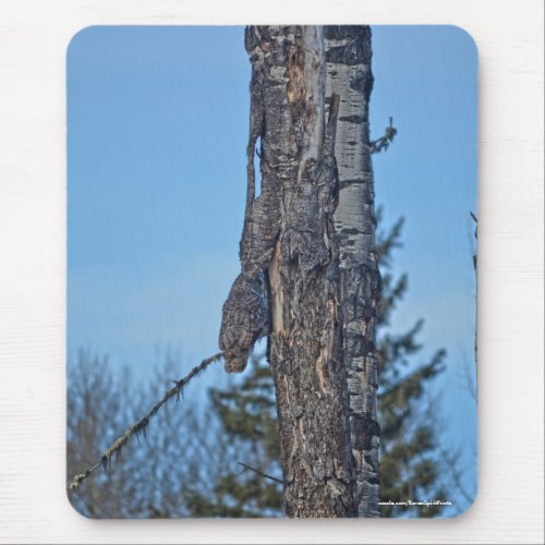 Camouflaged Great Grey Owl and Tree Wildlife Photo Mouse Pad