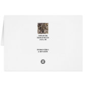 Camouflaged Simba (Lion) Cards (Back Horizontal)