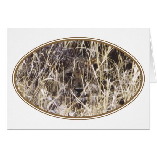 Camouflaged Simba (Lion) Cards (Front Horizontal)