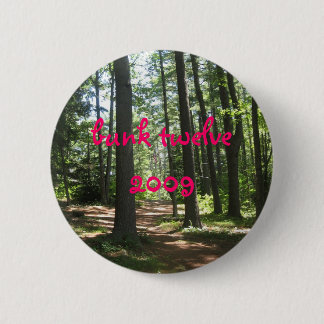 camp 2007 043, bunk twelve 2009 button