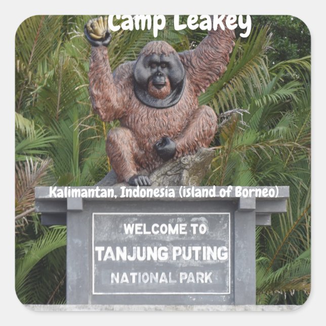 Camp Leakey Tanjung Puting National Park Square Sticker (Front)