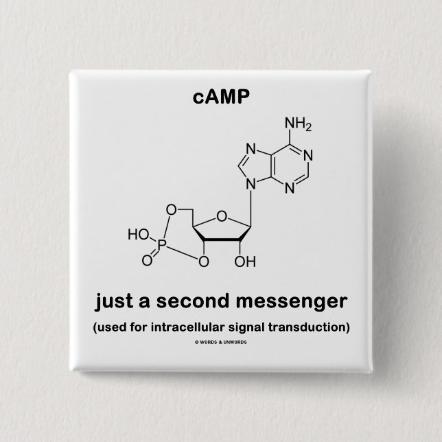 cAMP {Molecule} Just A Second Messenger Pinback Button (Front)