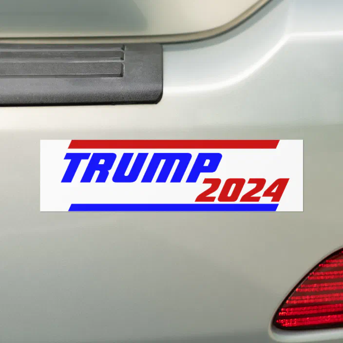 TRUMP 2024 DECAL STICKER FUNNY BIDEN ELECTION PRESIDENT VOTE CAR TRUCK 