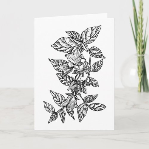 Campanula Bellflower Color it Yourself Blank Card