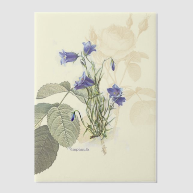 Campanula Bluebell Botanical Overlay Vellum Invitations (Front)