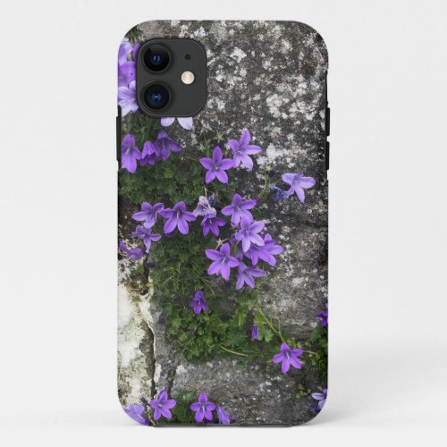Campanula Flowers Growing on a Wall iPhone 11 Case