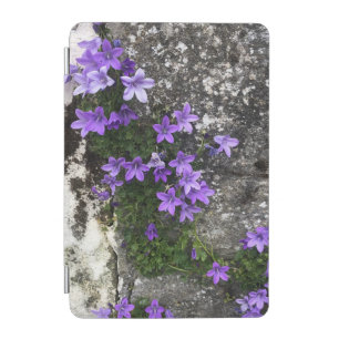 Campanula Flowers Growing on a Wall iPad Mini Cover