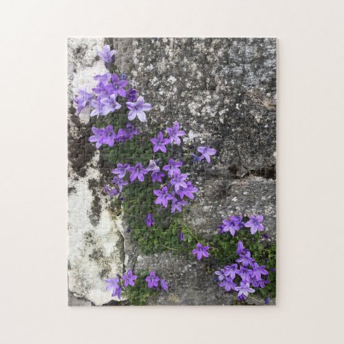 Campanula Flowers Growing on a Wall Jigsaw Puzzle