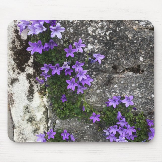 Campanula Flowers Growing on a Wall Mouse Pad (Front)