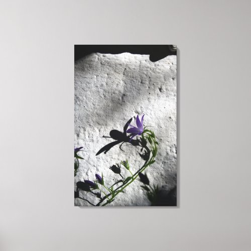 Campanula with Shadows Floral Photography _ Canvas