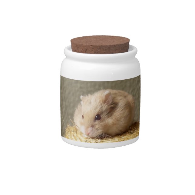 Campbells Dwarf Russian Hamster Candy Jar (Front)
