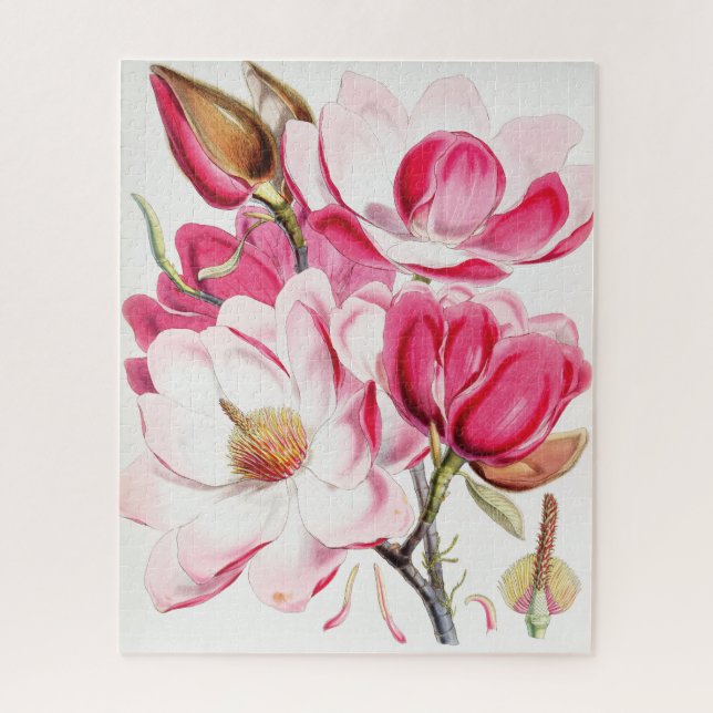Campbell's Magnolia Jigsaw Puzzle (Vertical)