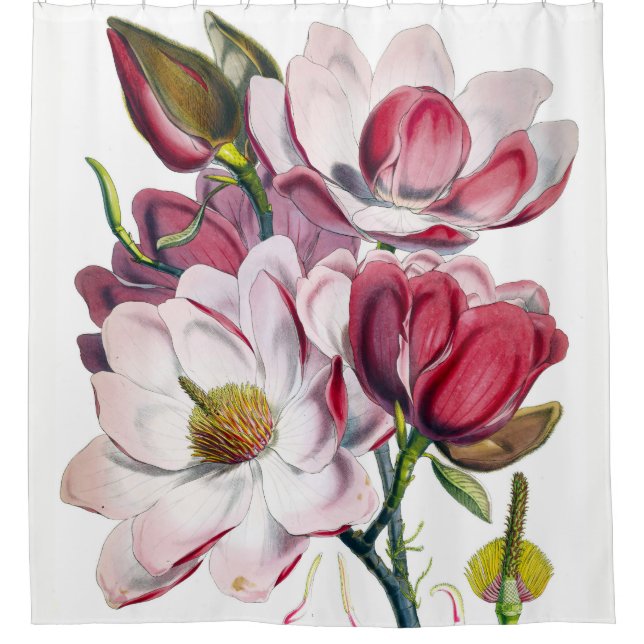 Campbell's Magnolia Shower Curtain (Front)