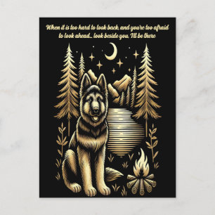 Campfire Companion Under Stars Postcard