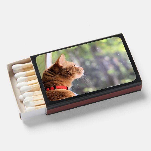 Camping  cat  matchboxes (Front Open)