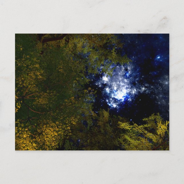 Camping Under The Stars Postcard (Front)