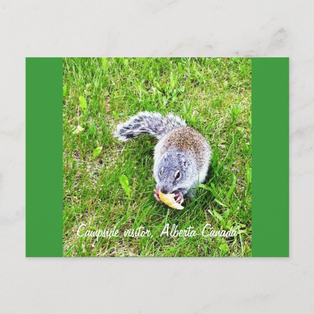 Campside visitor postcard (Front)