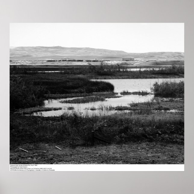 Campus from across Wildlife Pool, Irvine, 1967 Poster (Front)